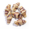 3D Ceramic Conch Shell Beads, 11x20mm Glazed Ocean Jewelry Supplies