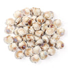 12mm Ceramic Fan Shell Beads, DIY Glazed Ocean Jewelry Supplies